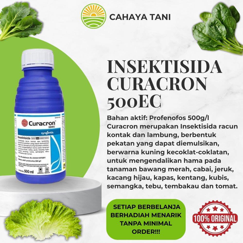 Insektisida CURACRON 500EC Syngenta
