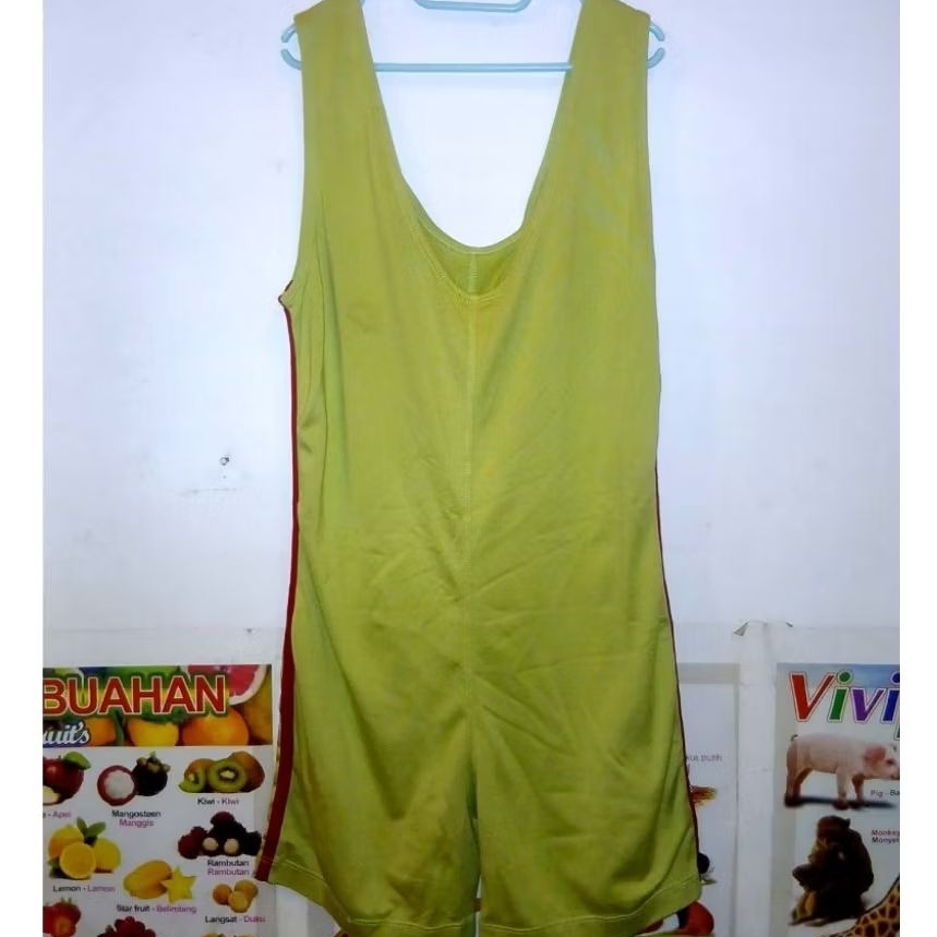 Preloved Baju Renang Dewasa Hijau