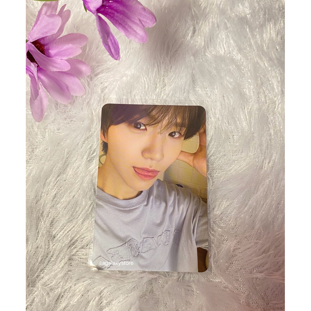 Official pc jaehee melet steady