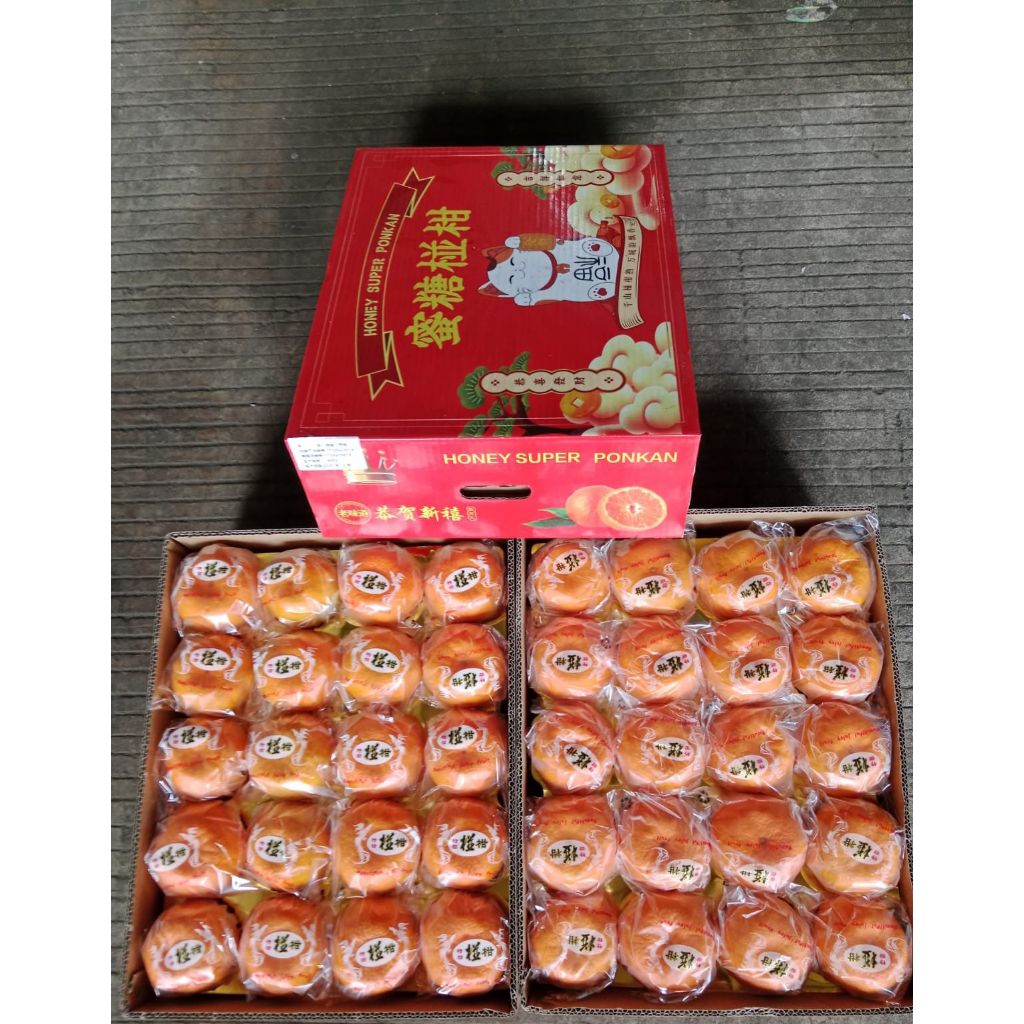 Jeruk Ponkam Sekat Size 40 (BOX)