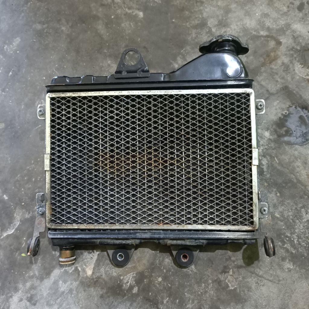 radiator ninja ss 2014 original copotan