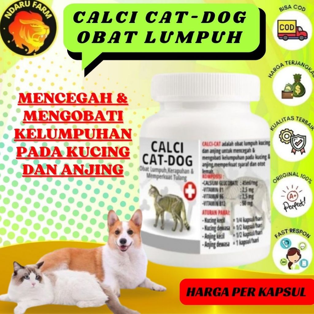 Obat Lumpuh Kucing&Anjing untuk mencegah & mengobati kelumpuhan pada kucing & anjing,memperkuat syar