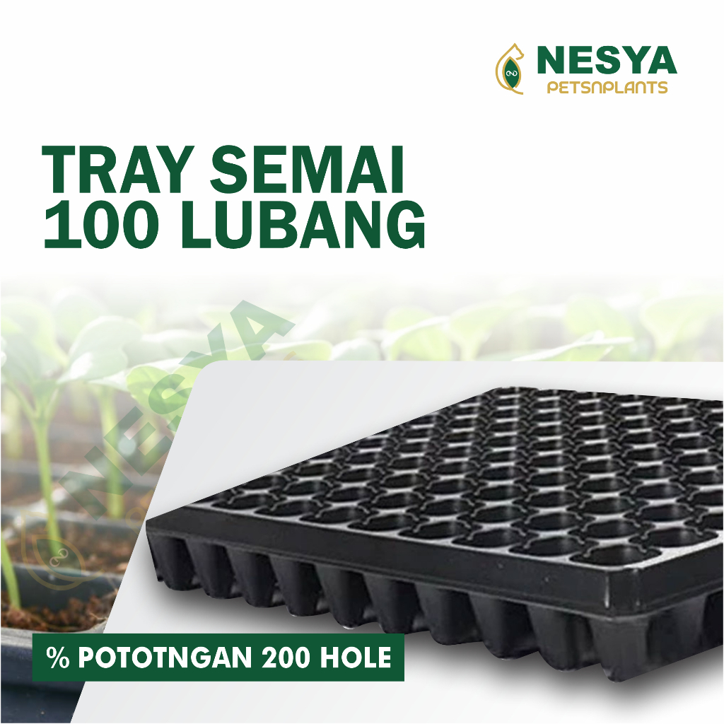 Tray Semai Potray 100 Lubang Custom - Tray Semai 10x10