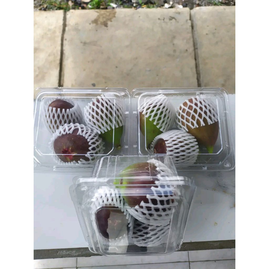 Buah Tin ara 1 kg -fig- Fresh Segar
