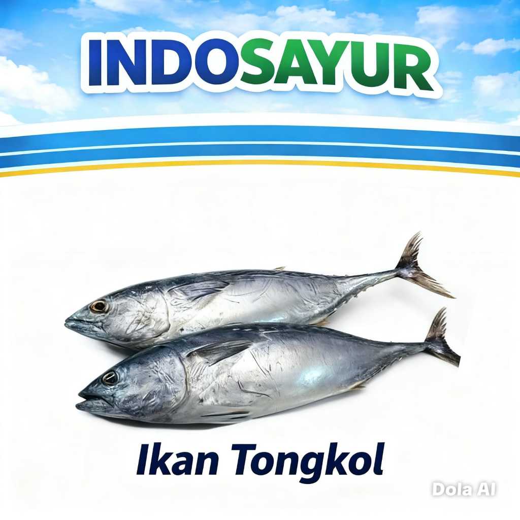 Ikan Segar Tongkol Fresh / IKAN TONGKOL 1 KG