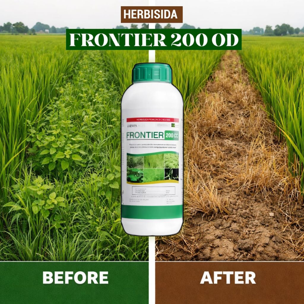 HERBISIDA FRONTIER 200 OD PEMBASMI GULMA & SEGALA JENIS RUMPUT