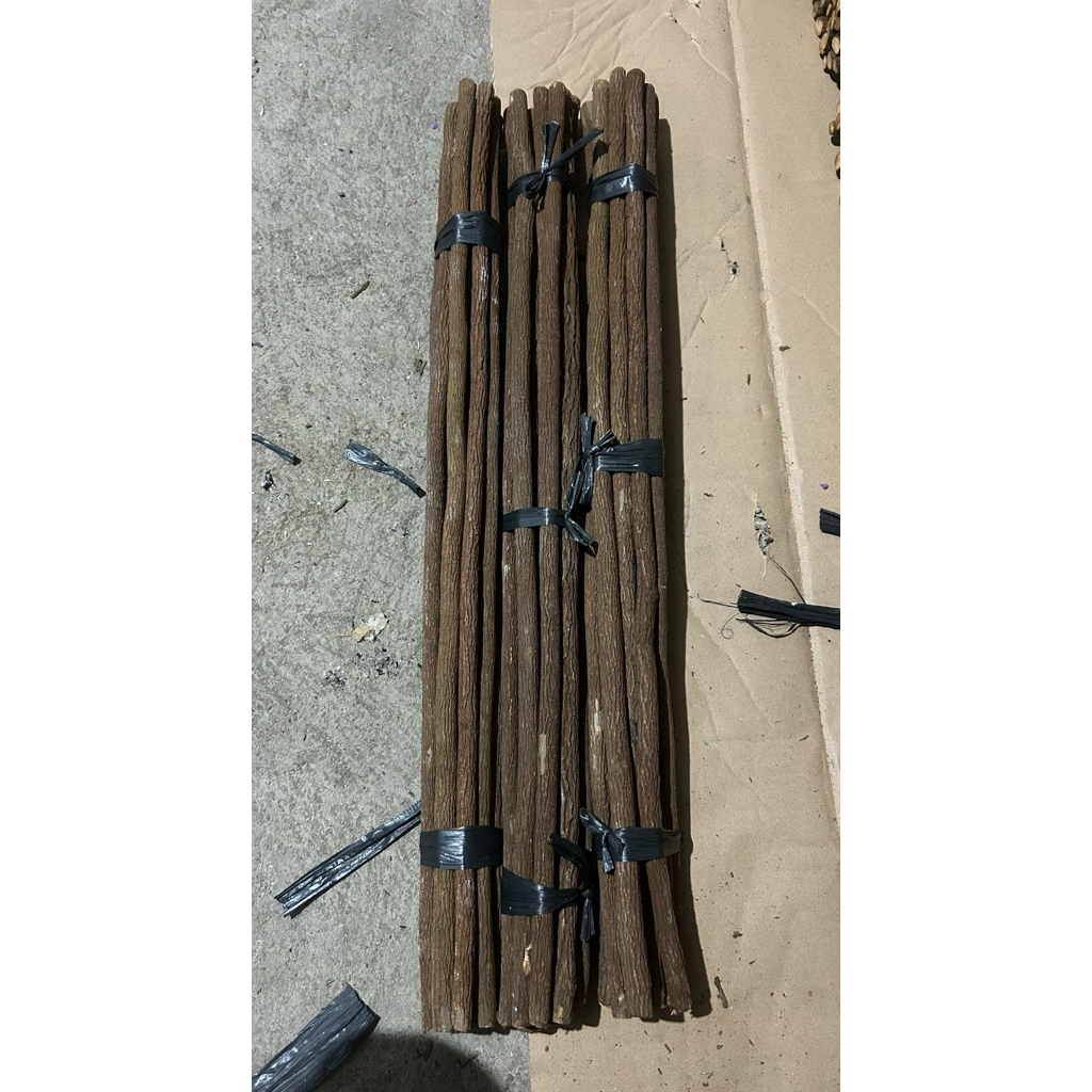 Tangkringan asam jawa/murai batu/premium/isi 20biji /panjang 65cm/