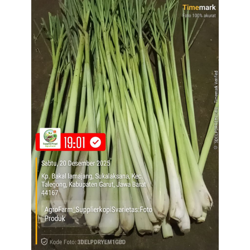Sereh Segar Berkualitas 1 kg Termurah di Shopee