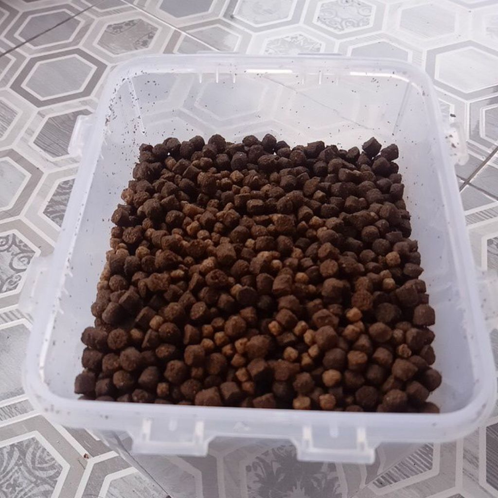 Pelet ikan arwana, oscar