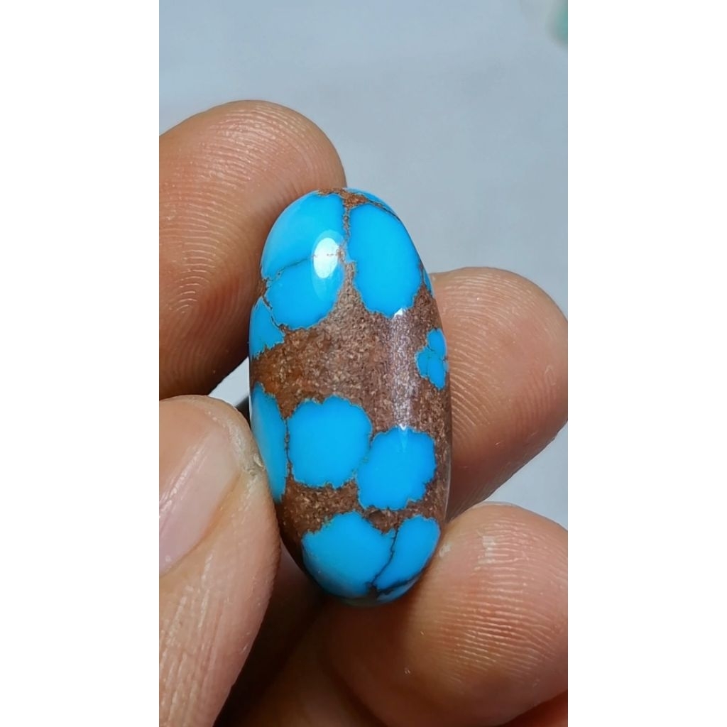 Natural pirus mesir (Eghyptian Tourquose) losstone