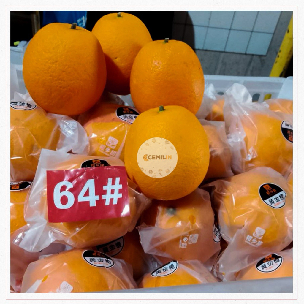 Jeruk Sunkist Navel | Jeruk Navel Impor Premium