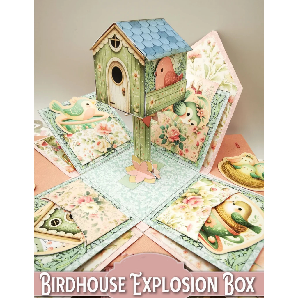 Explosion Box Bird Cocok Untuk Hadia Ulang Tahun Spesial