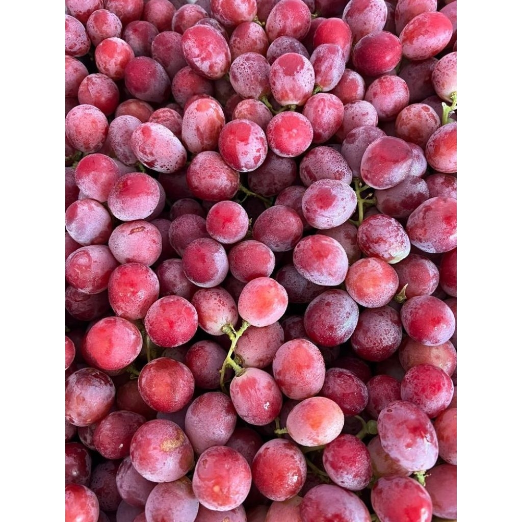 Buah Anggur Merah Globe Manis Australia 500 Gram - Segar, Manis, dan Kriuk