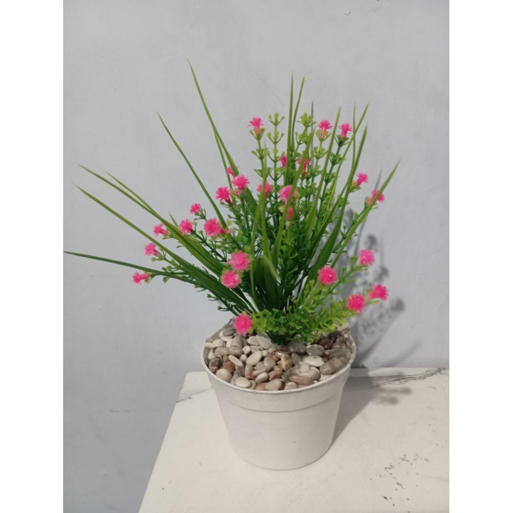 Bunga rumput pot bulat