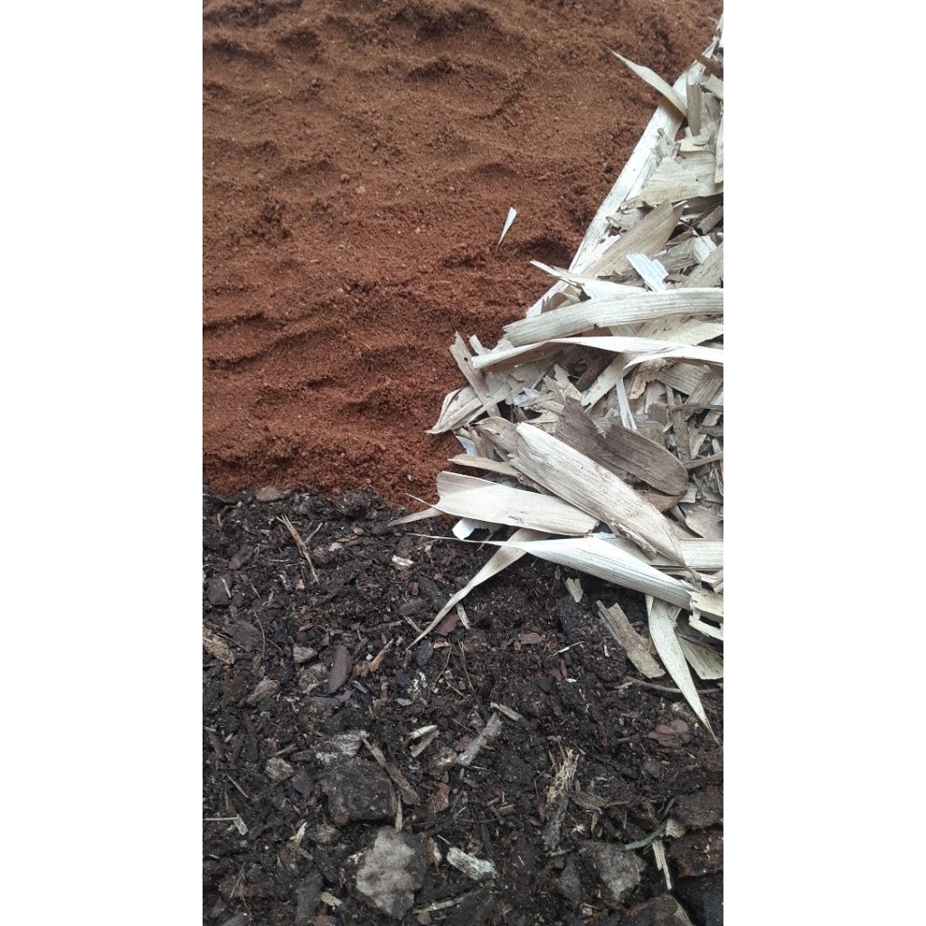 Media Tanam Aglonema  - Organik, Subur, Tanpa Tanah