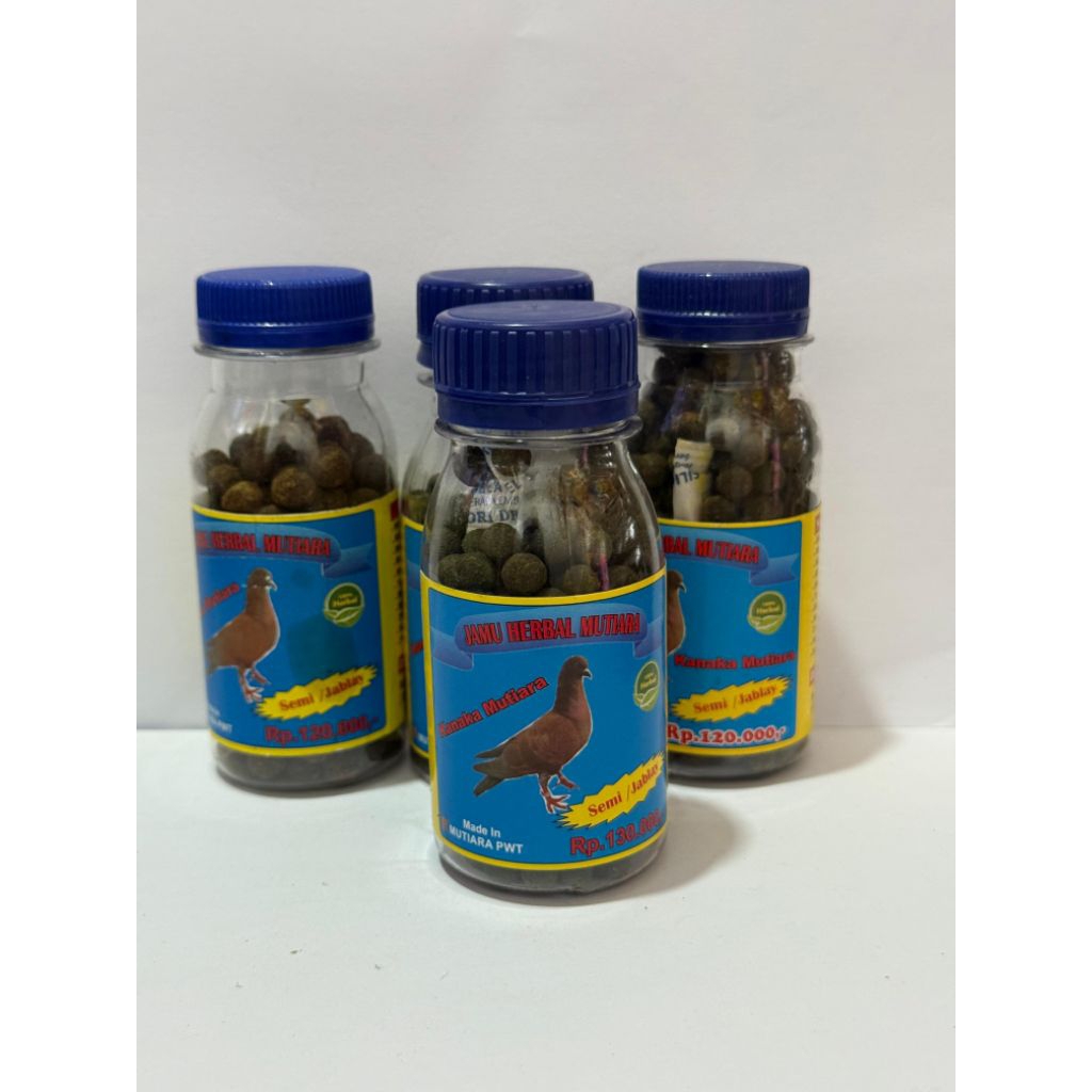 Semi ja blay besar mutiara jamu merpati herbal mutiara semi ja blay
