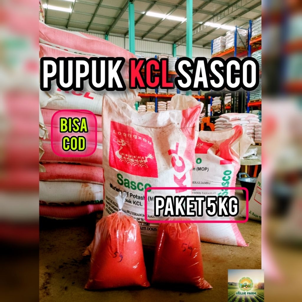 Pupuk KCL MOP Sasco Kemasan 5kg - Tingkatkan Hasil Panen Dengan Kalium 60%