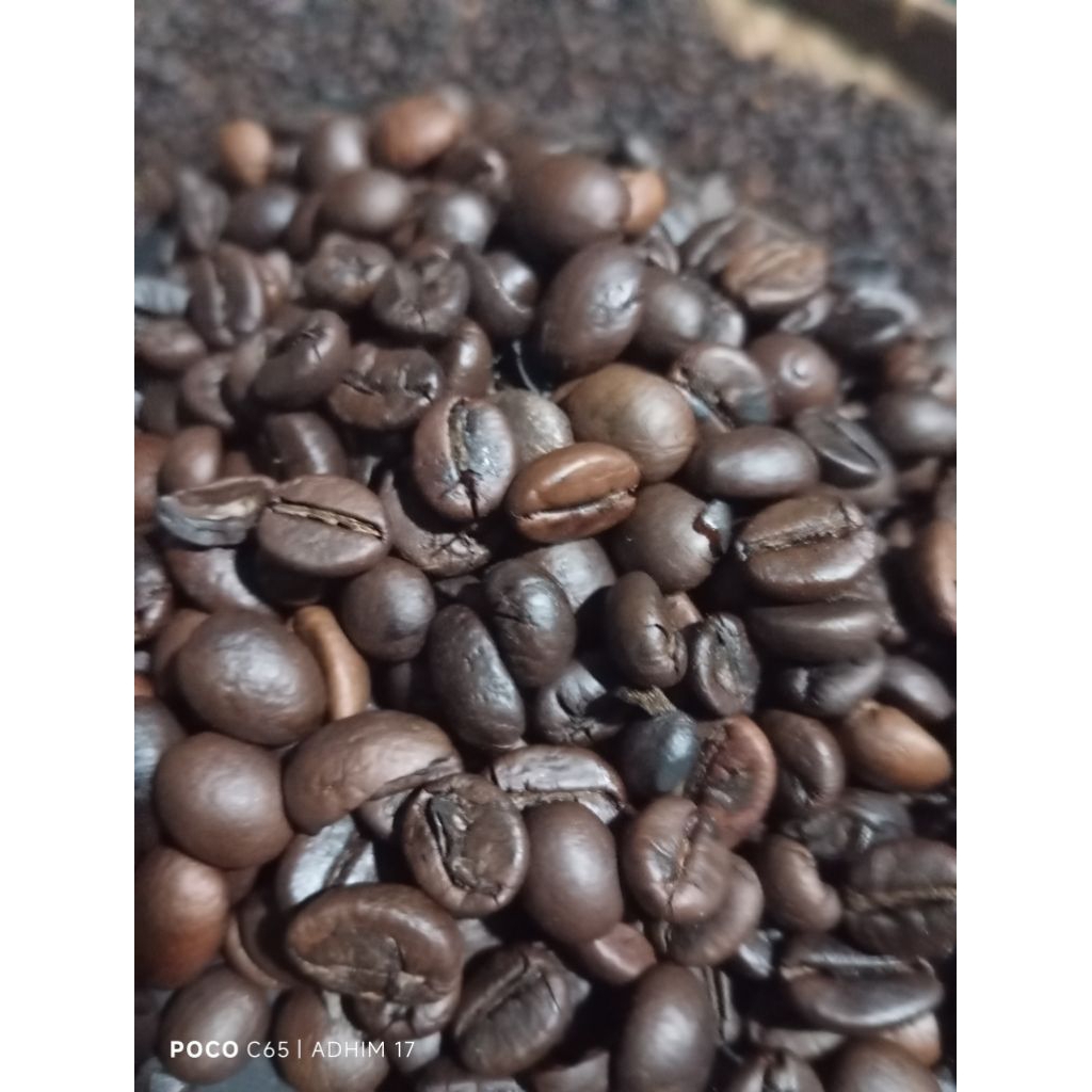 biji kopi sangrai 180