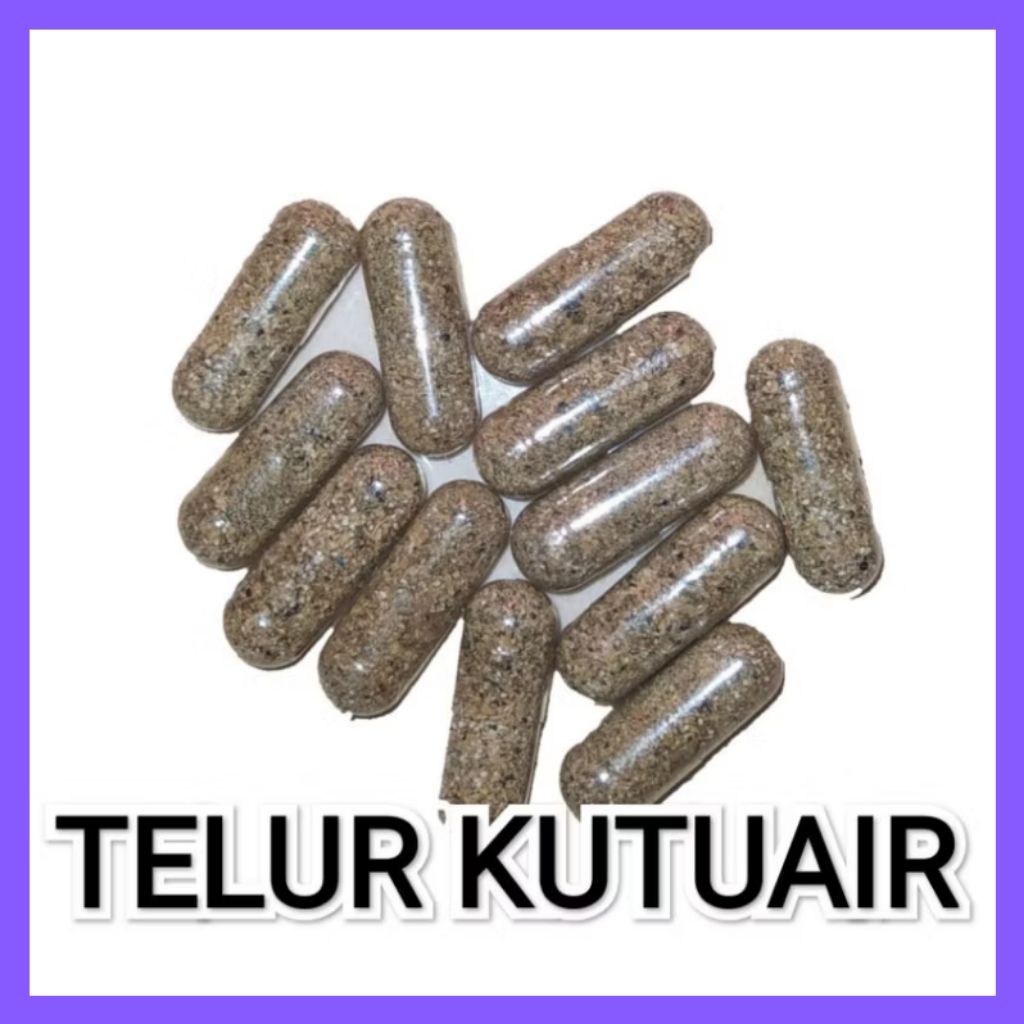 Telur Kutu Air Telur Kutir Moina Macrocopa Ephipia
