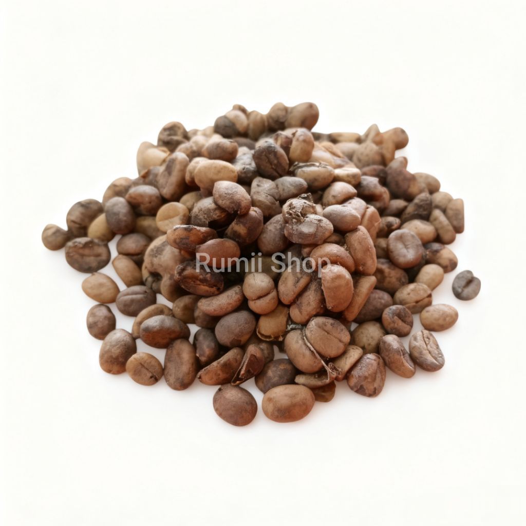 Biji kopi luwak Asli 100%