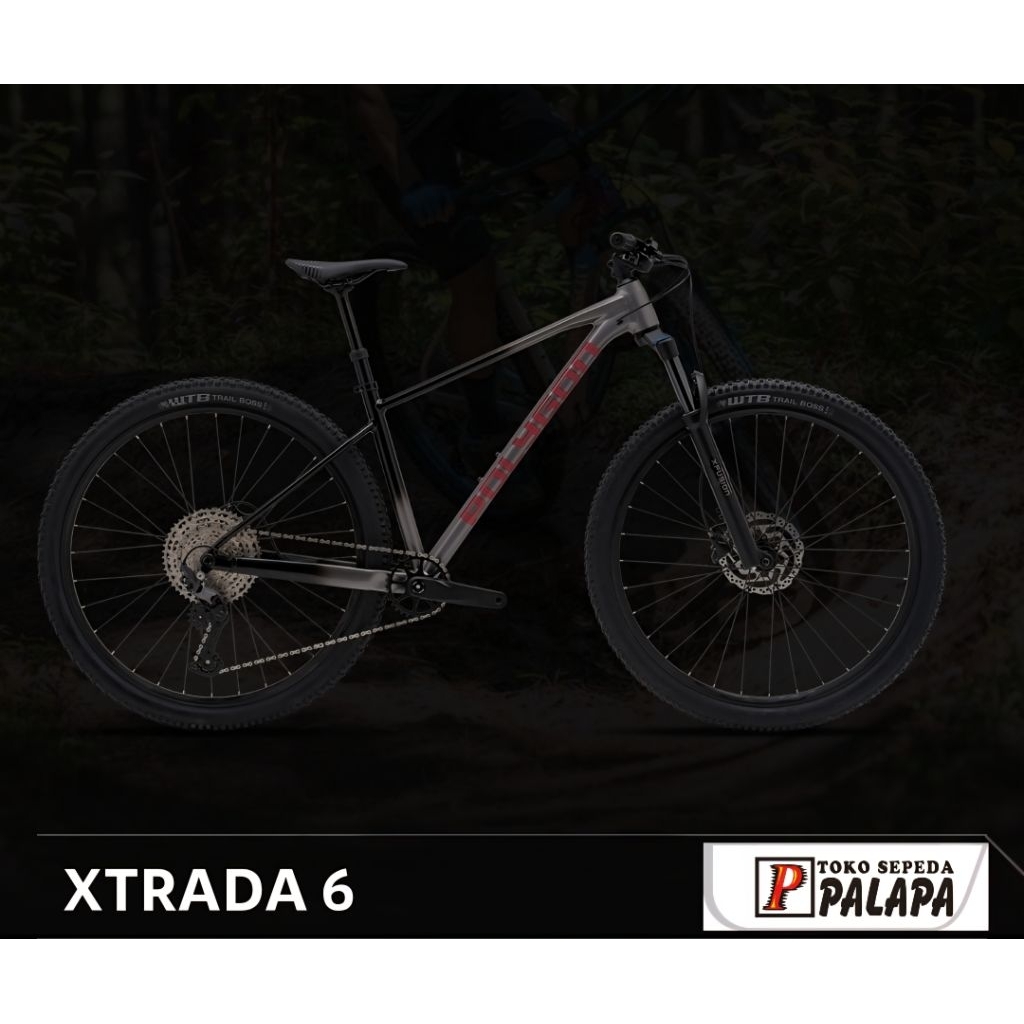 MTB 29 Size XL POLYGON XTRADA 6.0 1 X 11 SPEED NEW Sepeda Gunung  6