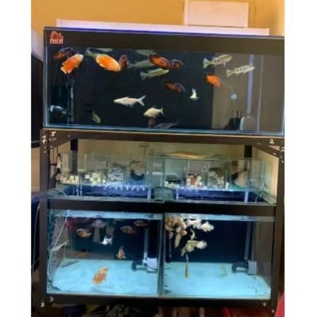 Rak aquarium P100cm L40cm T40cm 2 susun, Rak susun besi. rak serbaguna