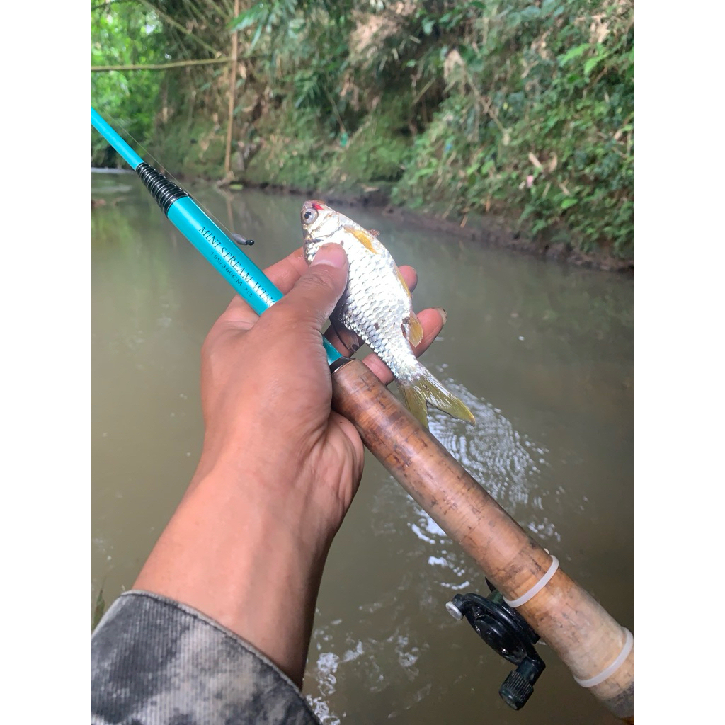 tegek mini stream wing custom