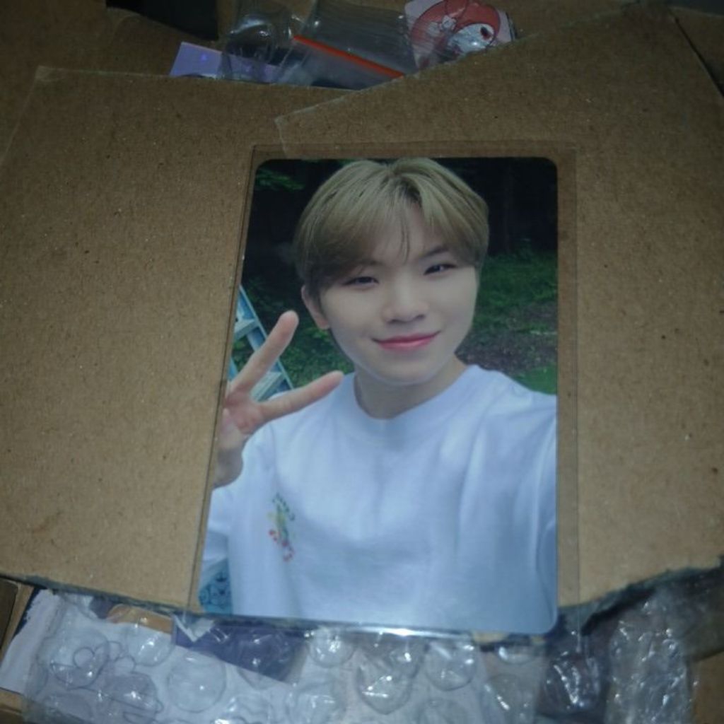 Official Photocard Woozi Seventeen DICON