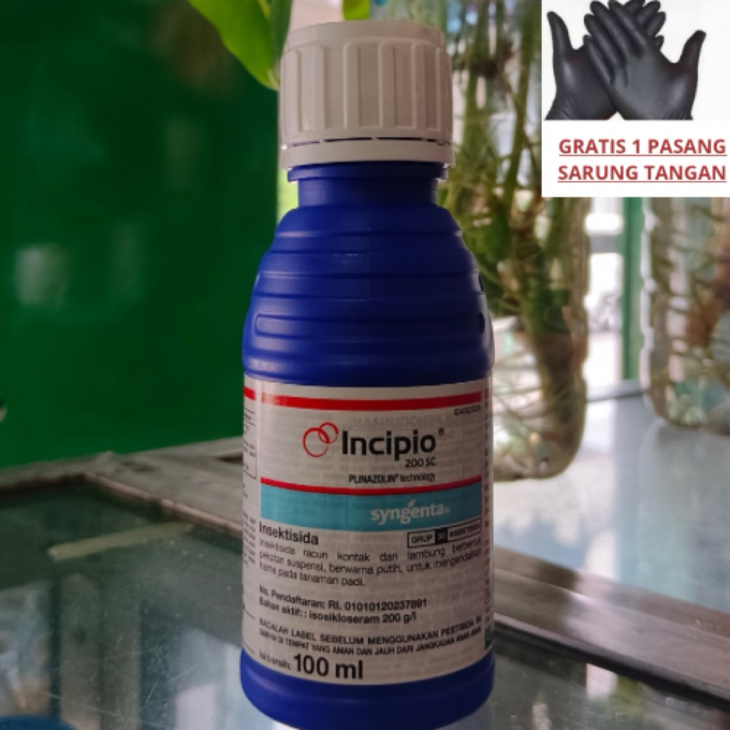 Incipio | Hama Penggerek batang | Insektisida | 100 ml