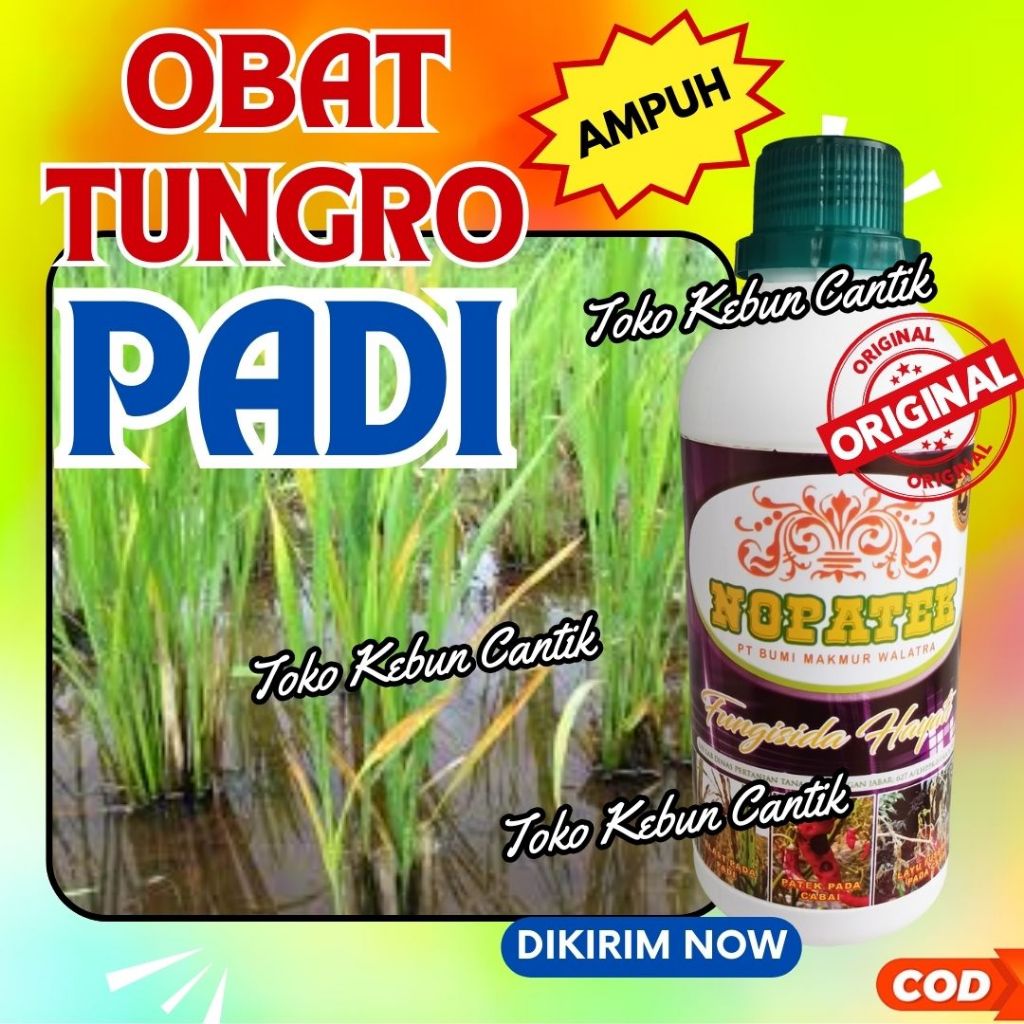 NOPATEK Obat Blast Padi Organik Aman Digunakan Petani