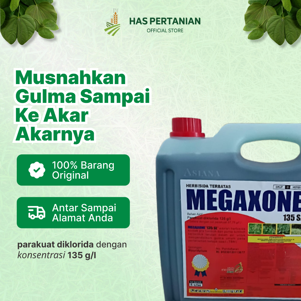 Pembasmi Rumput Megaxone | Ampuh dalam 48 jam - 1 Liter
