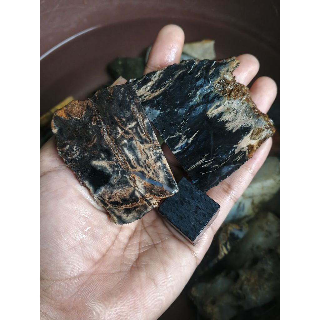 Natural Bahan Batu Posil Kayu Kelor