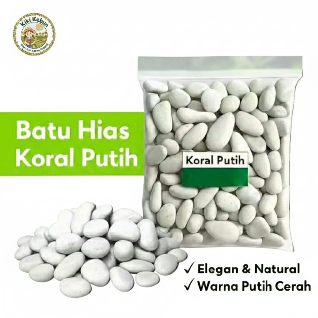 Batu koral putih untuk menghias akuarium dan tamanan