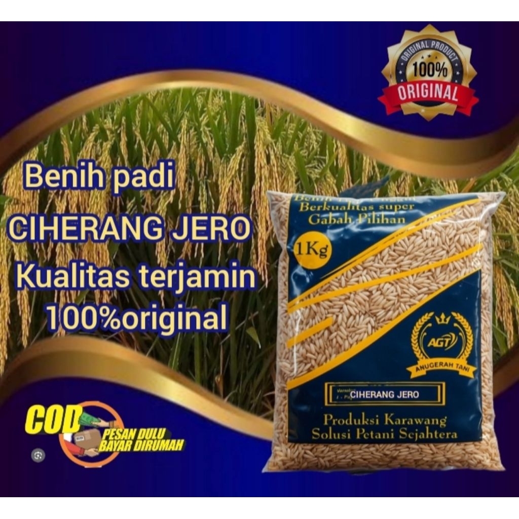 Benih Padi Ciherang Zero Janger Berkualitas super Premium kemasan 1KG