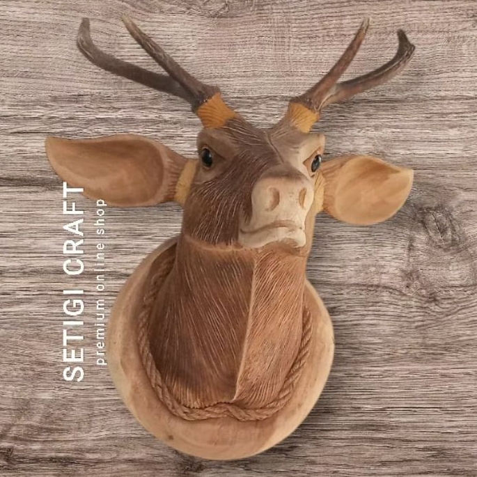 PREMIUM Hiasan Dinding Kepala Rusa Tanduk Asli Size S