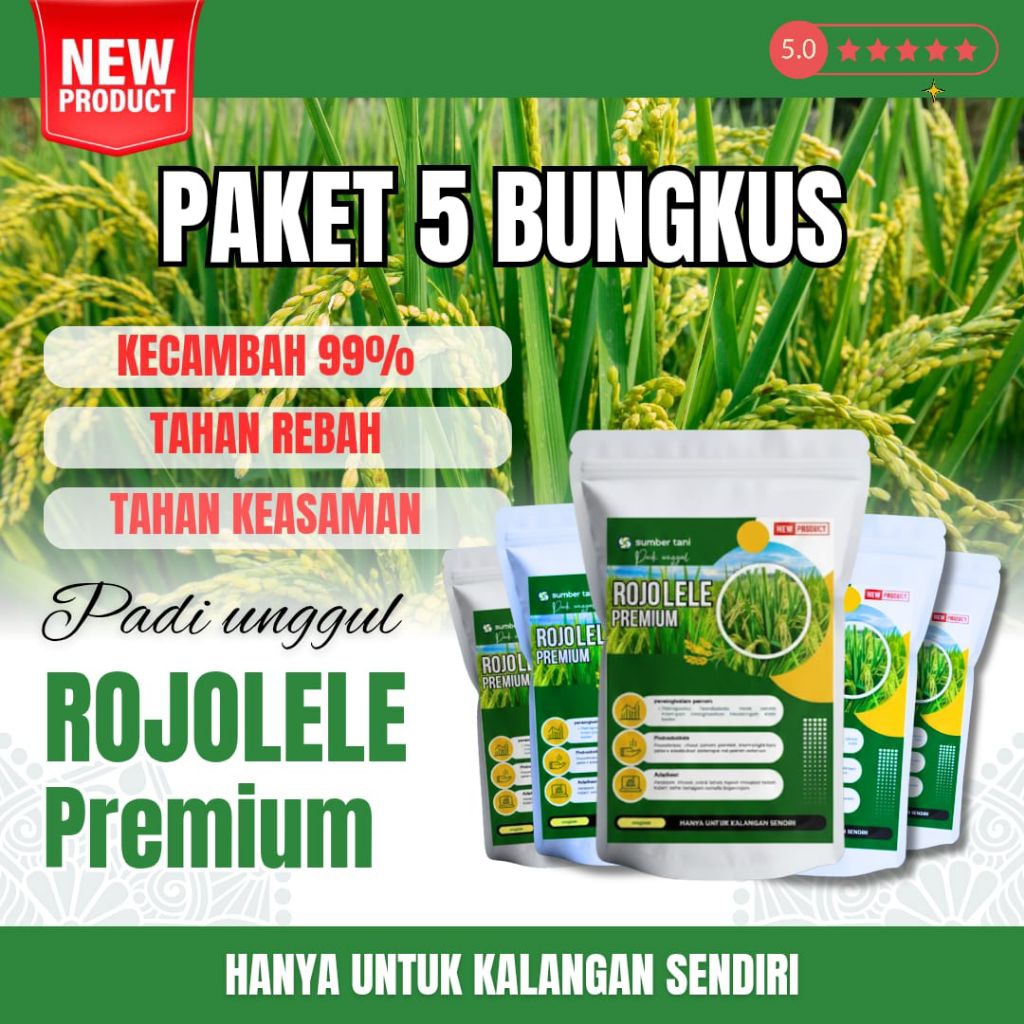 Benih padi unggul rojolele asli 5kg ( BIBIT PADI UNGGUL ROJOLELE 5KG )