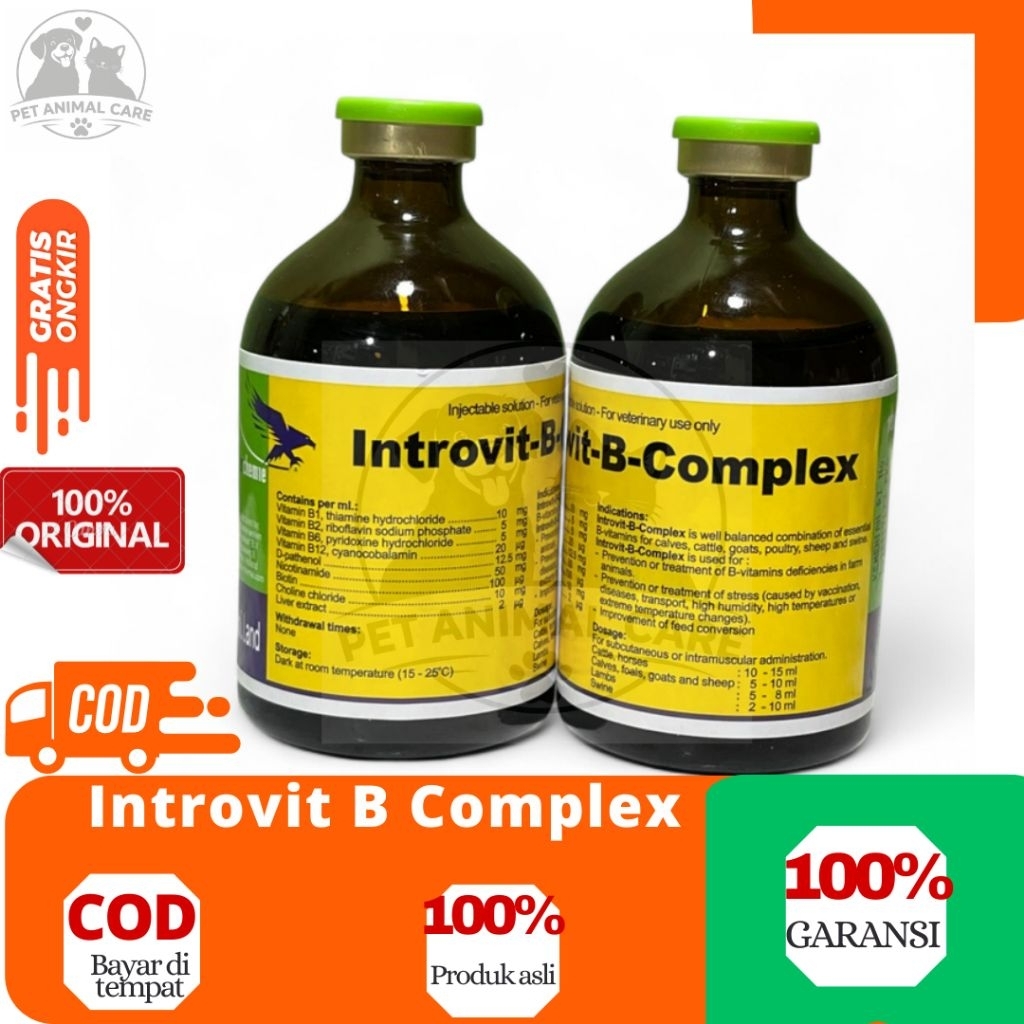 Introvit B Complex 100ml - Injeksi B Complex Konsentrasi Tinggi Untuk Hewan ternak