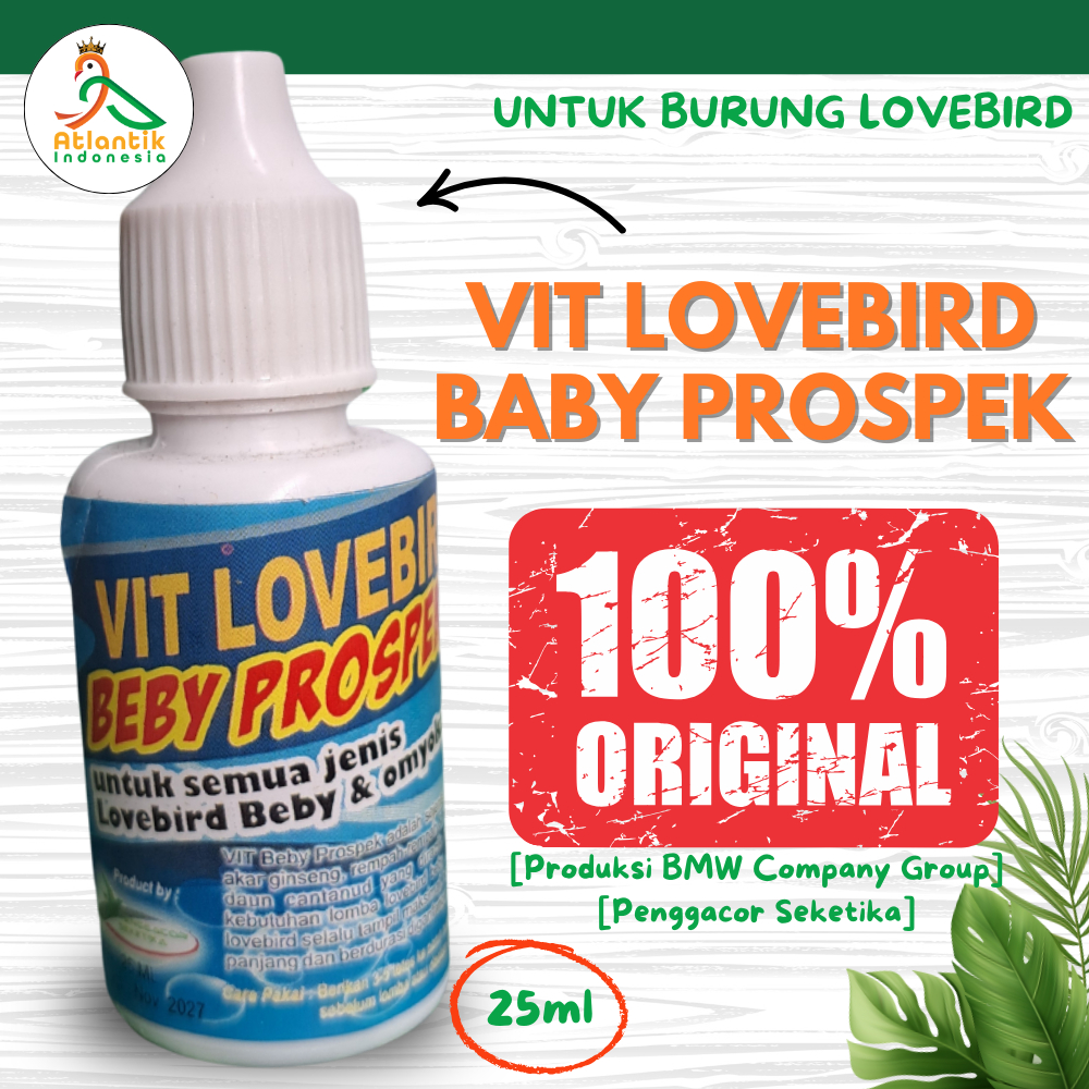 Vitamin Burung Lovebird baby Prospek vitamin Kontes Alami Lovebird juara