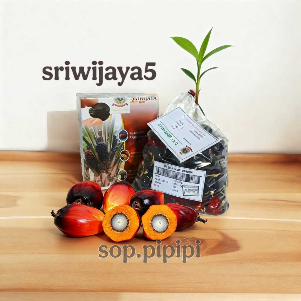 bibit kelapa sawit sriwijaya 5
