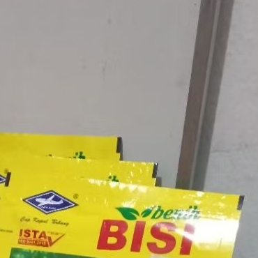 Benih Bibit Semangka Non Biji Lentera F1, Tipe Lonjong dan Rasa Manis Isi 20 Gram 2026 (Terbaru) - B