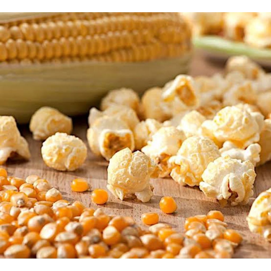 jagung popcorn mushroom mafel popcorn