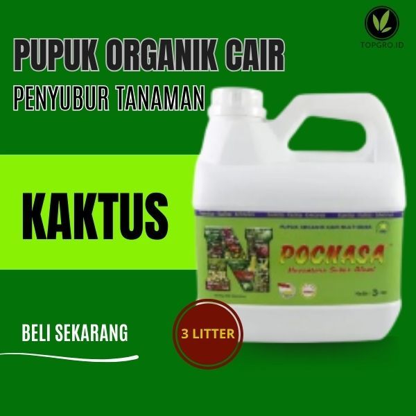 Pupuk Organik Cair Tanaman Kaktus / Kaktus dan Sukulen / Mini Hidup / Tanaman Hias Hidup / Kaktus