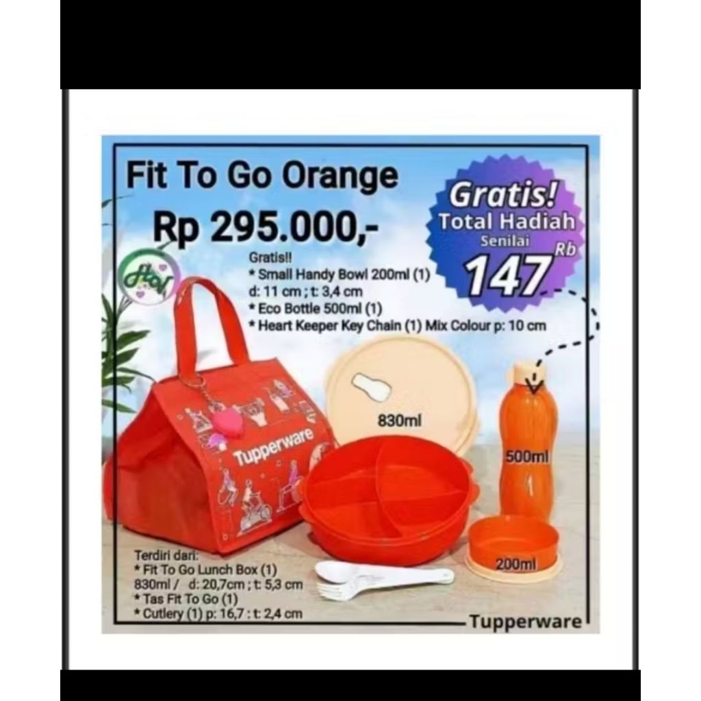 fit to go lunch set orens tupperware