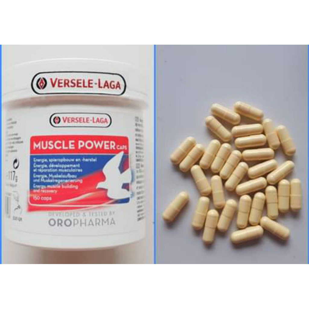 muscle power versele laga 1pack isi 150 caps