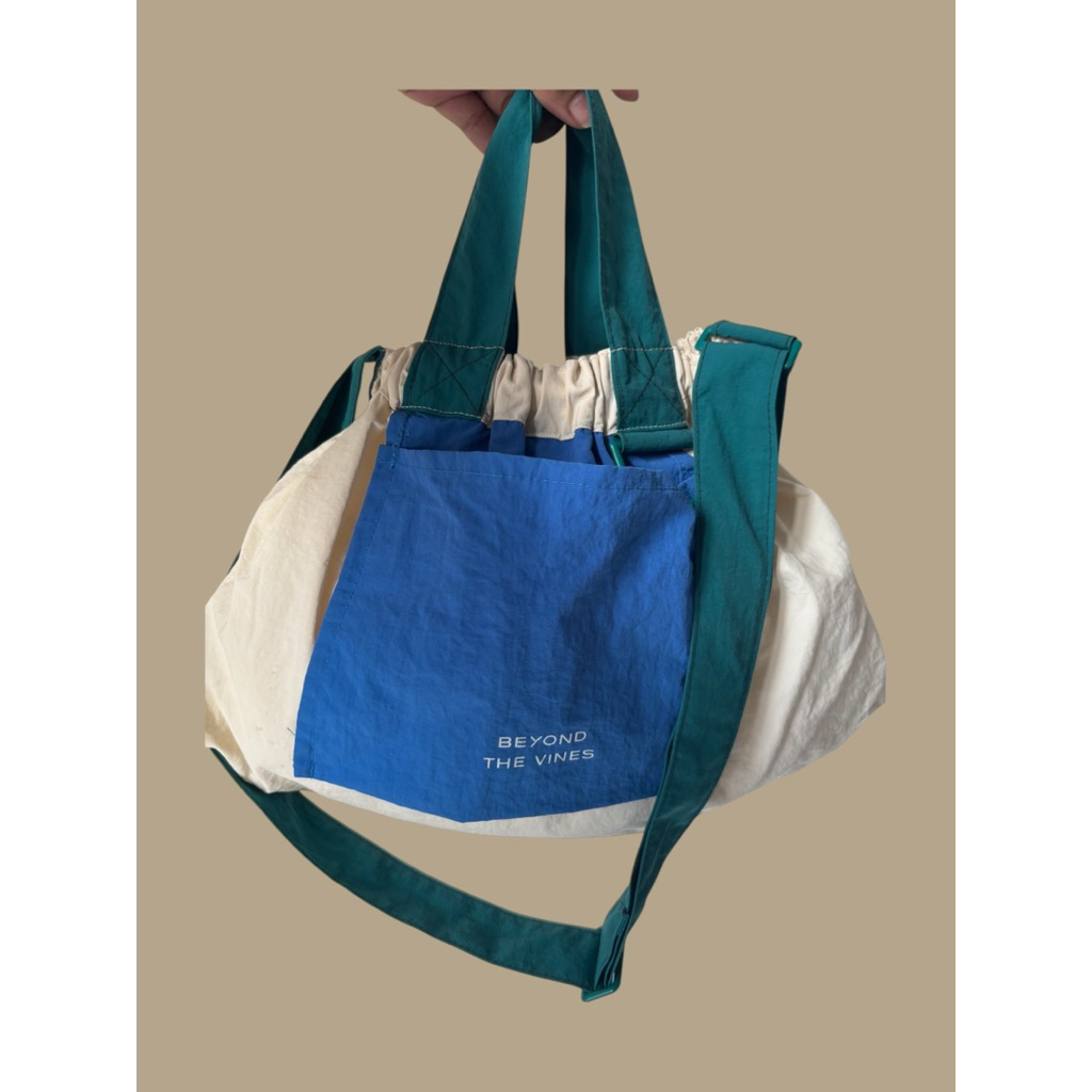 BTV Colorblock Dumpling Bag