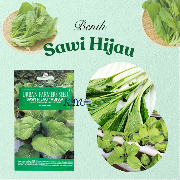 Benih Sawi/Benih Sawi Hijau/Benih Murah