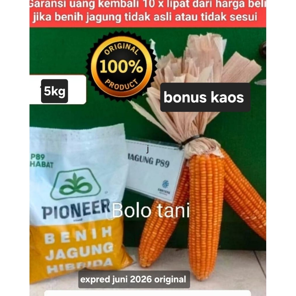 benih bibit jagung Hibrida pioner p 89 sahabat 5kg  original