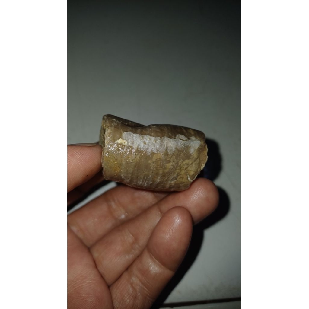 Mustika welut putih barang antik