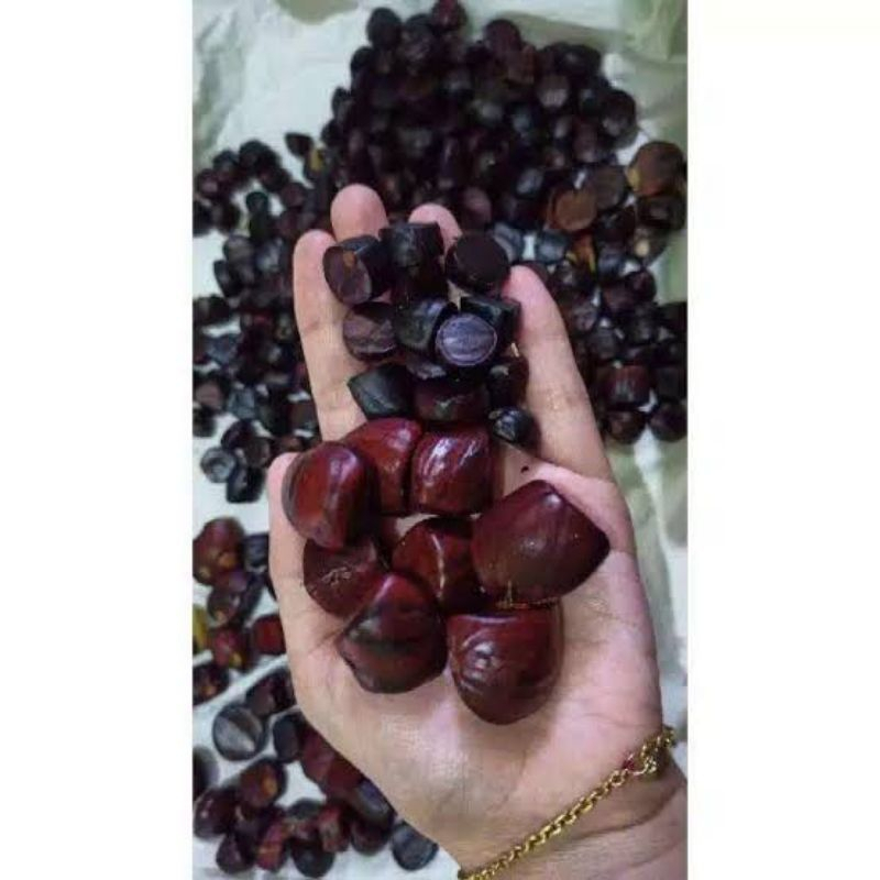 500gr Kabau Julang Jaling Sumatera - Anti Diabetes & Prostat, Lalapan Segar