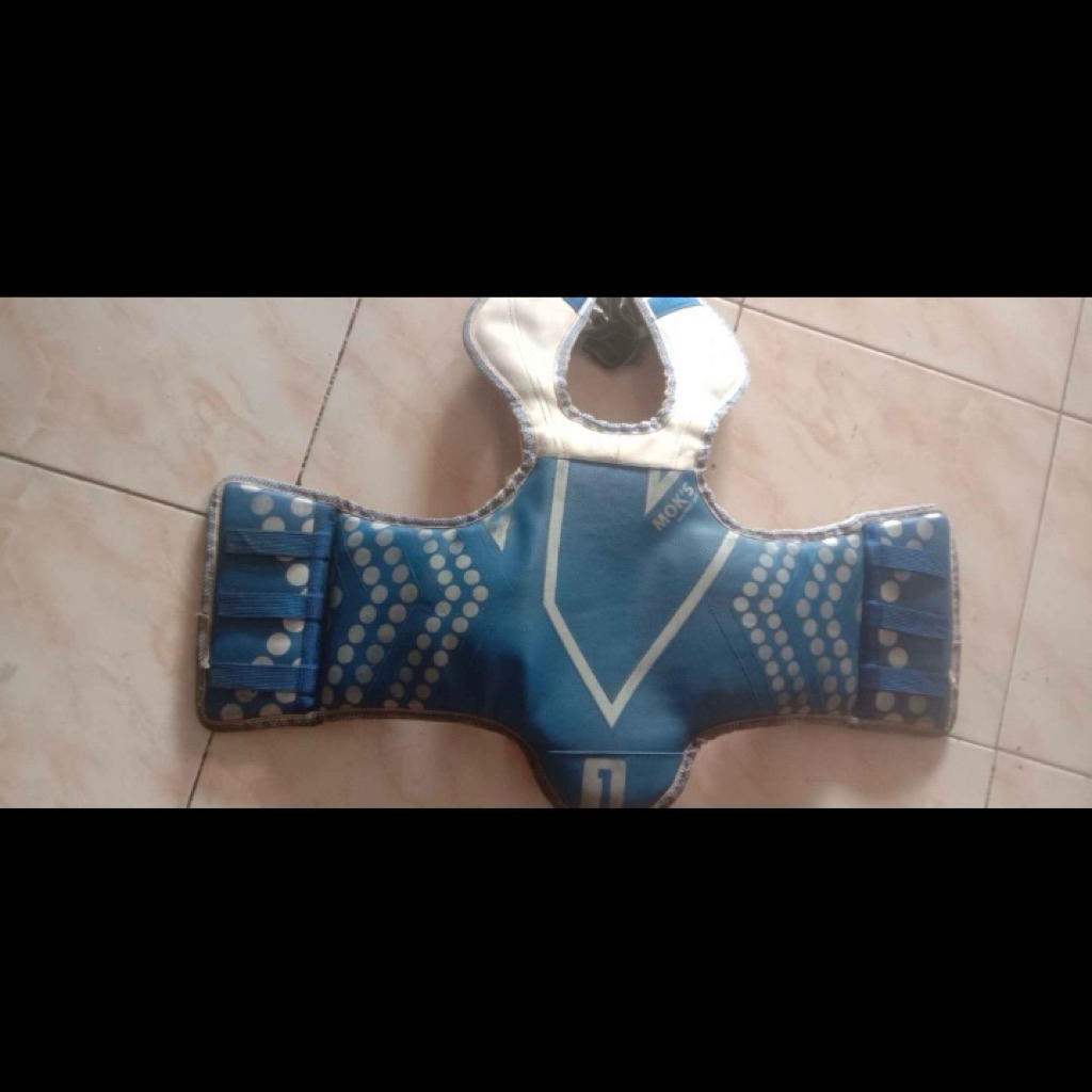 Preloved Body Protector